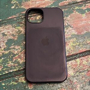 iPhone 13 Apple case